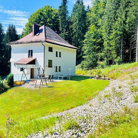 Ferienhaus Lebenskraft Pfaffetschlag Екстериор снимка